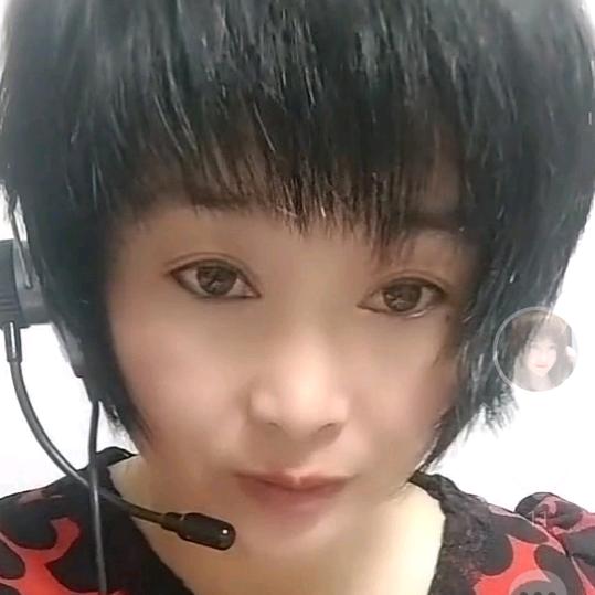傲雪红梅