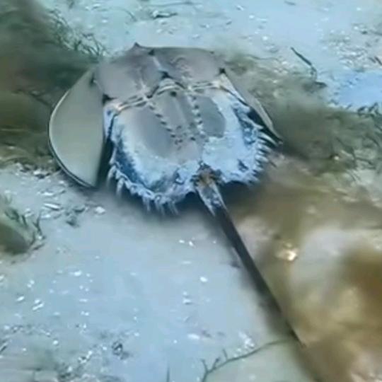 追風