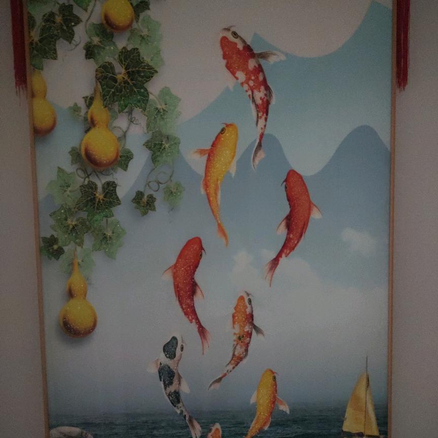 自由自在🌹🌹