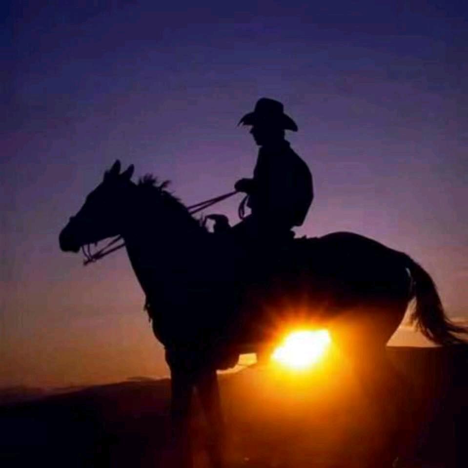 📸高光拾客📷