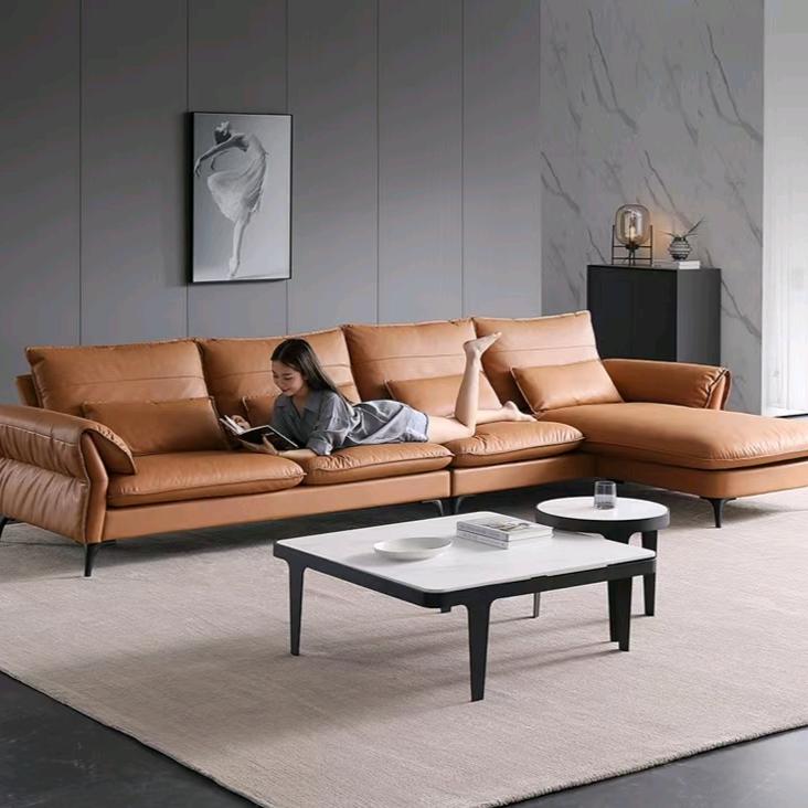 家具人（鱼哥）