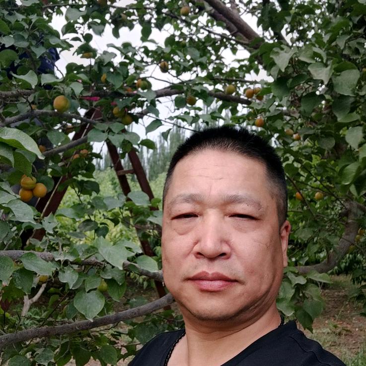 王一恒