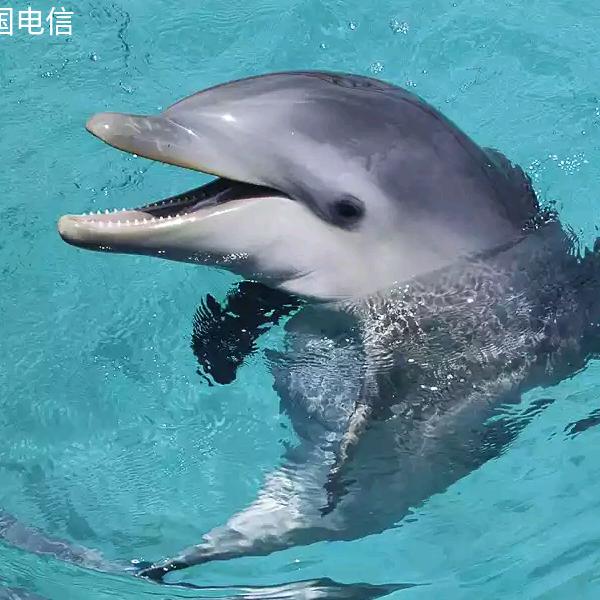 王后余生