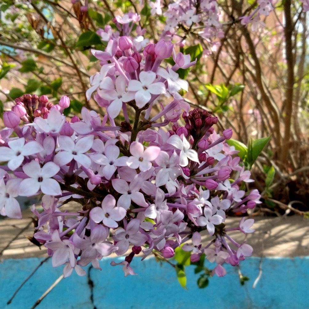 (•̀⌄•́)冬666(•̀⌄•́)