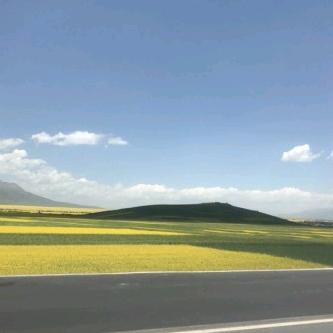 松的精神