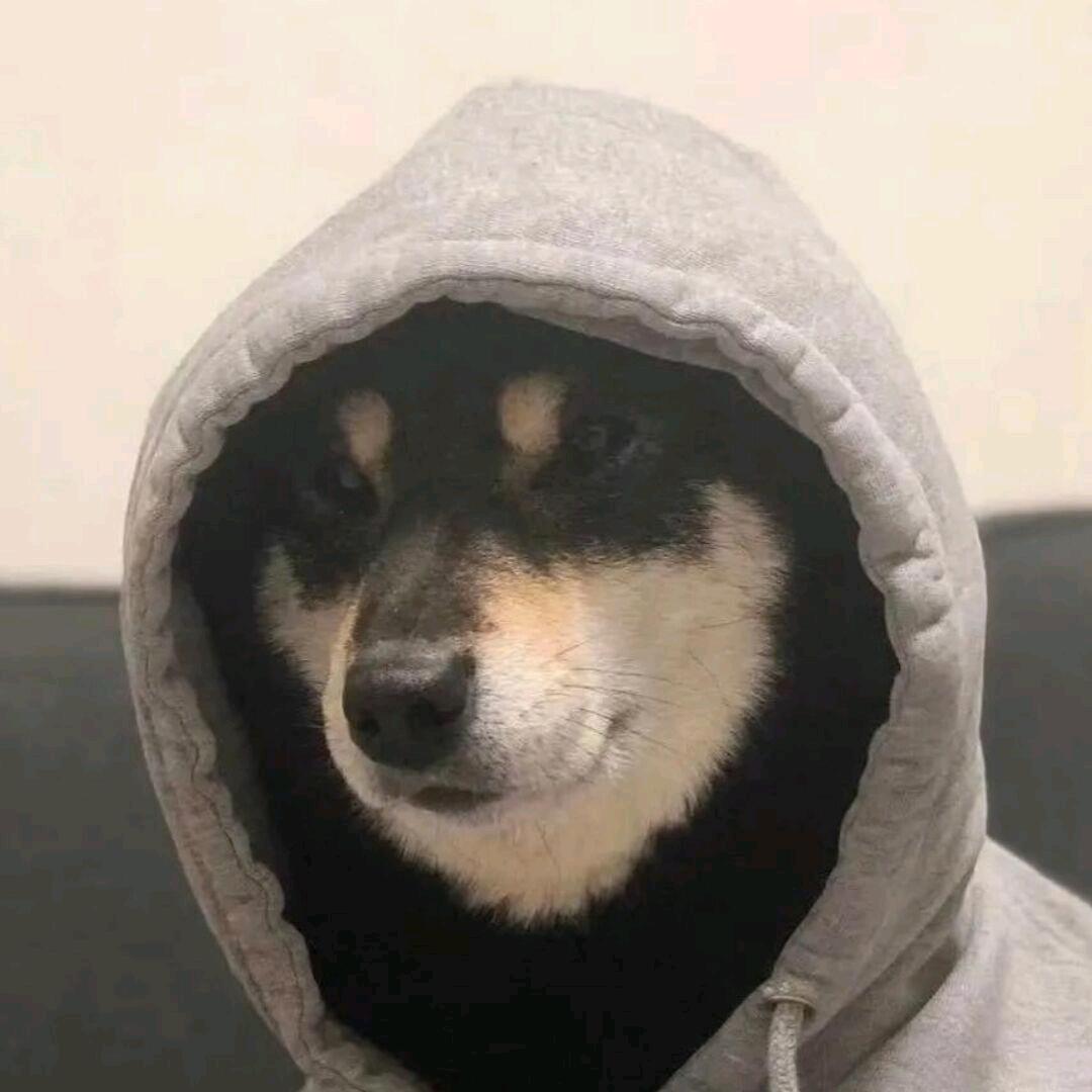 少许