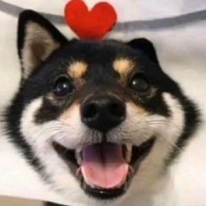 有钱的啵啵❤️💚