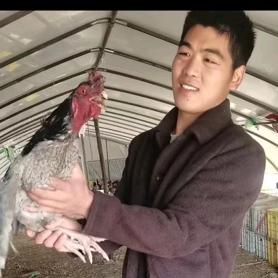 泗洪重岗恒心生态养殖