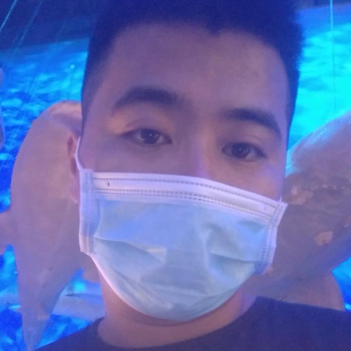 吴川三摩车、搬家、拉货、清理、有活就干