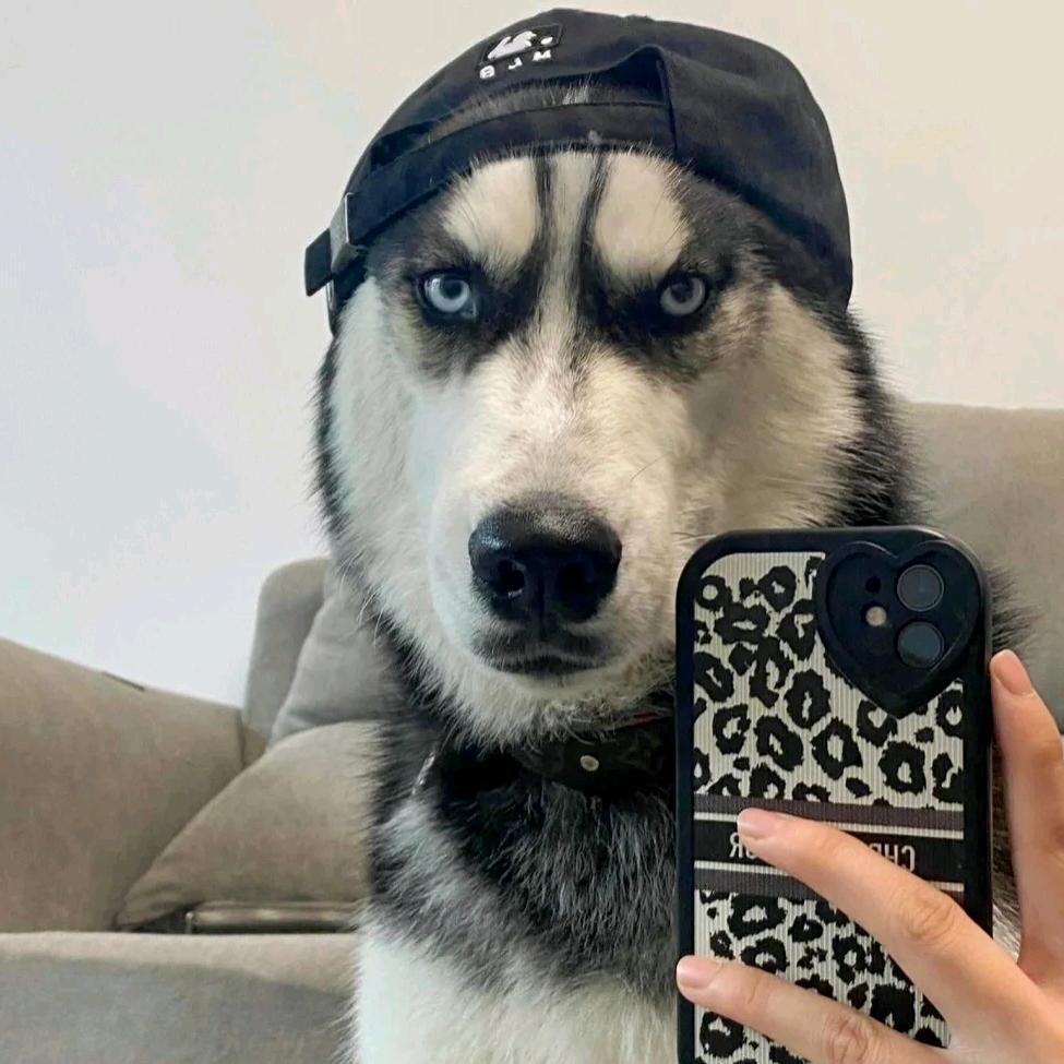 鹅雕狸狮狒