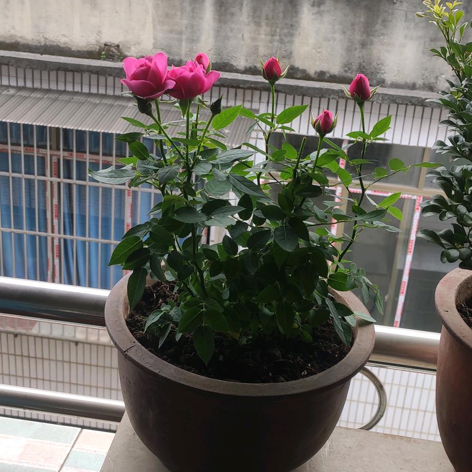 🎉面对现实🎉