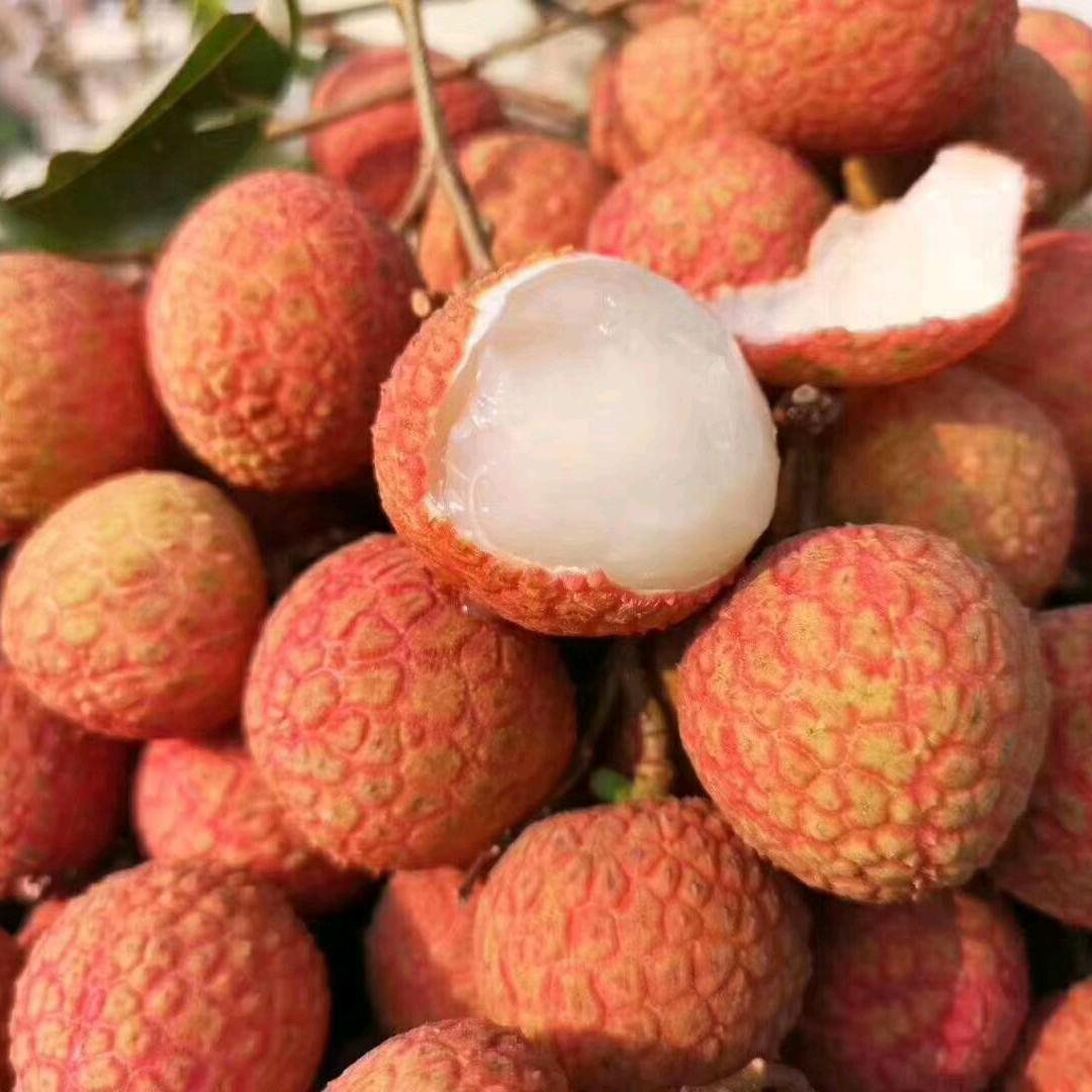 高州市景一源食品有限公司