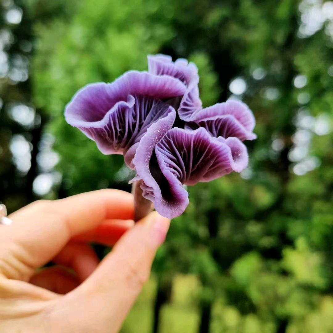 Ꭽℯ⃝落ঞᩚ下꧔ꦿ᭄