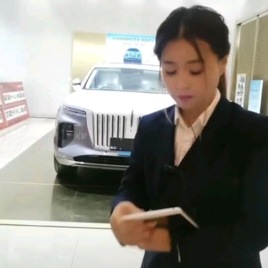 红旗金牌销售燕子
