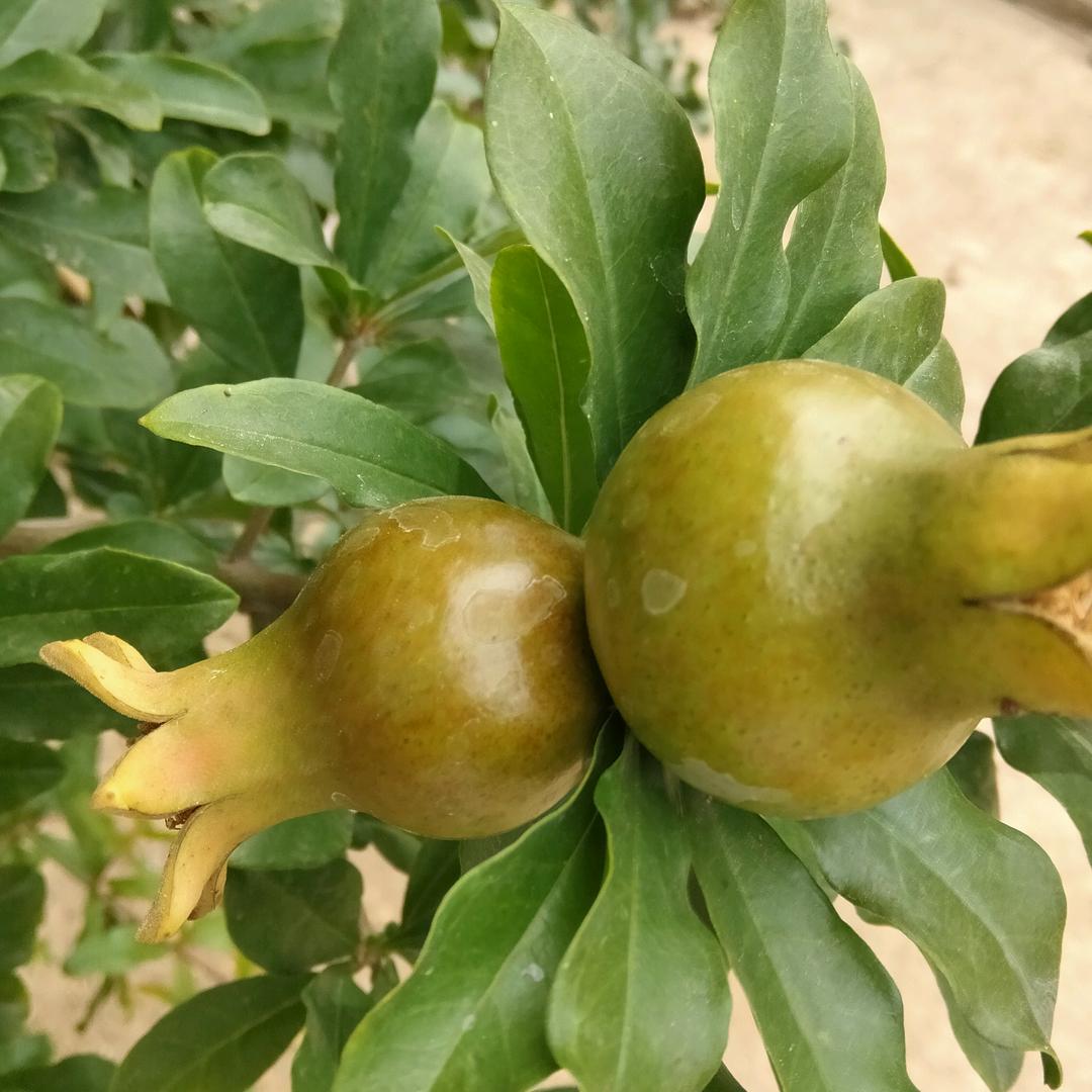 懂我你富