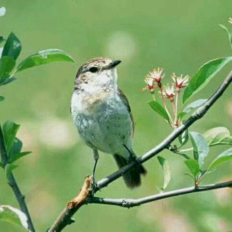 用户7382214347381小乐米