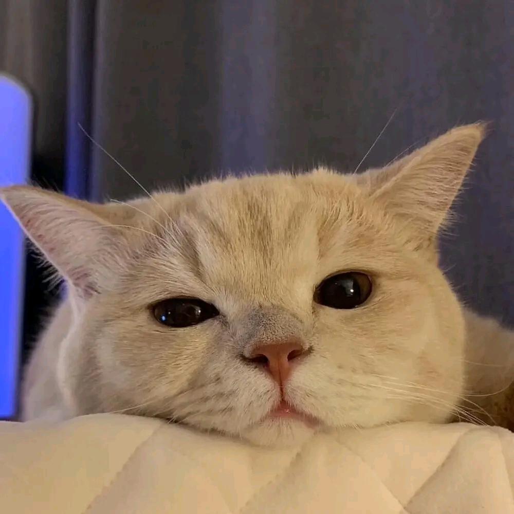 闹腾