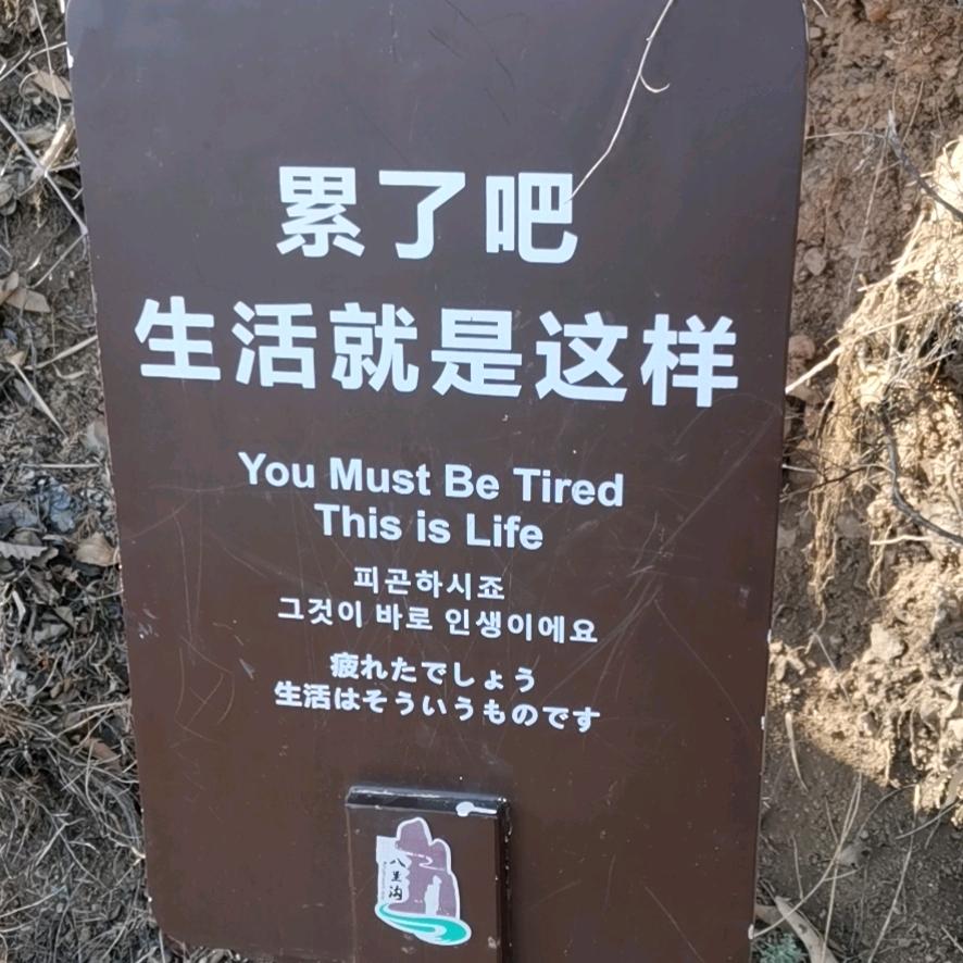 开着三轮追大奔