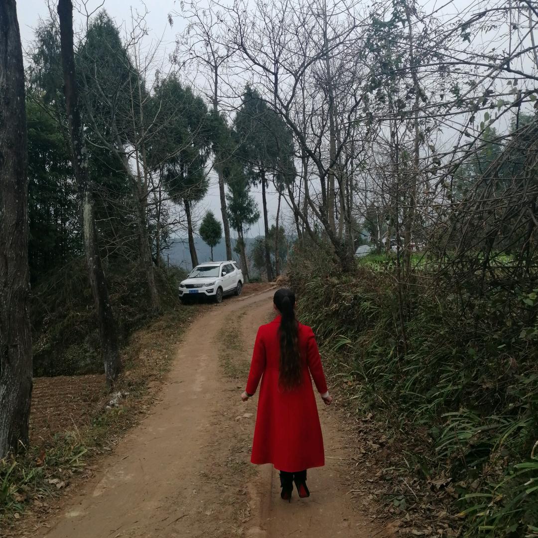 开心果   梅子