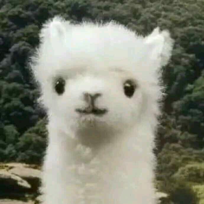 穆