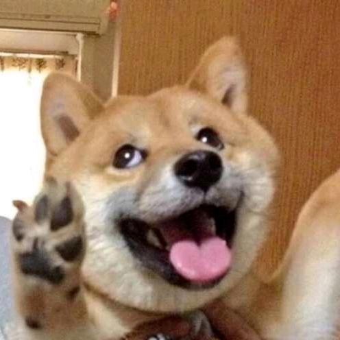 夏狩