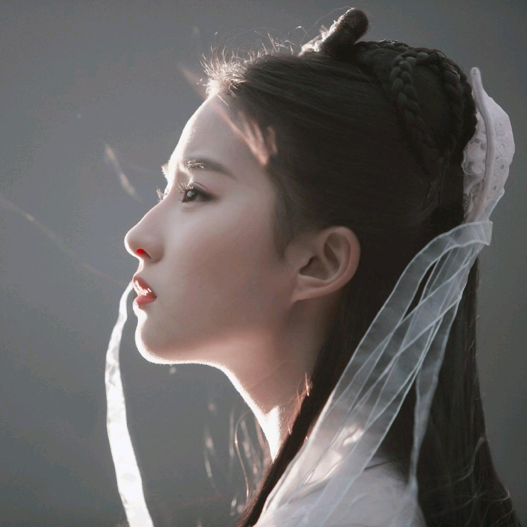 兔小菲