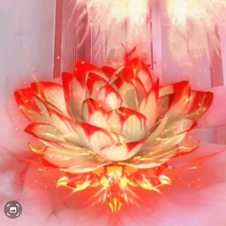 妙妙莲心🌻🌻