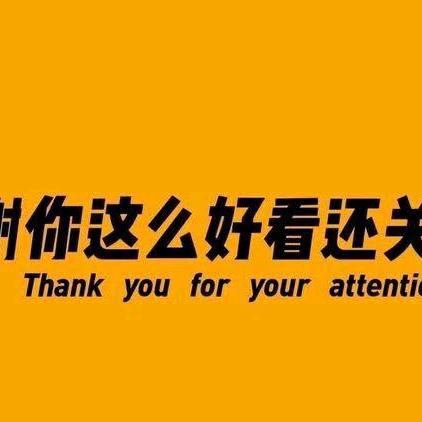 阳光纷放