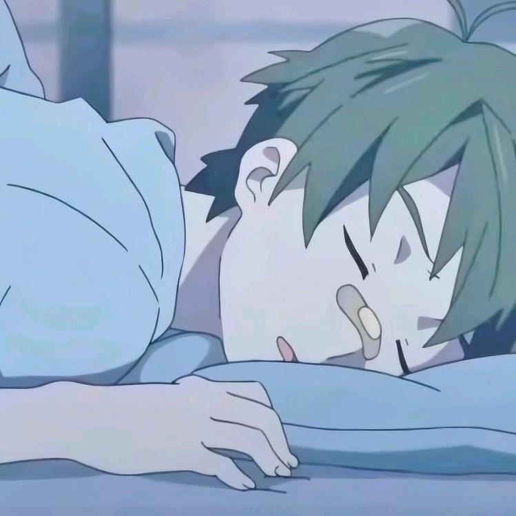 闪闪♪