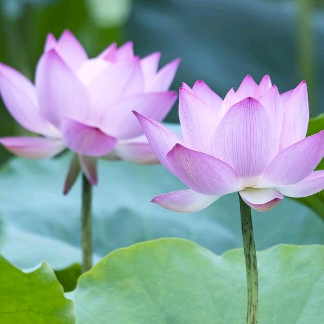 时间是个好东西💝