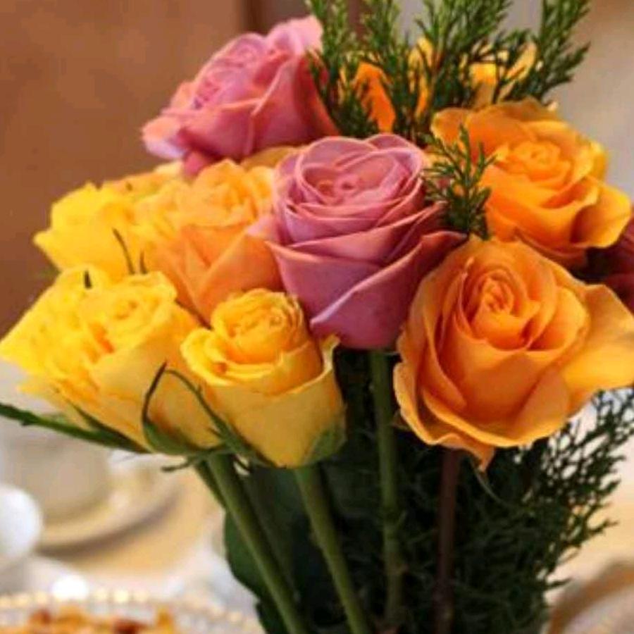 🍎千祥云集🍒🍓