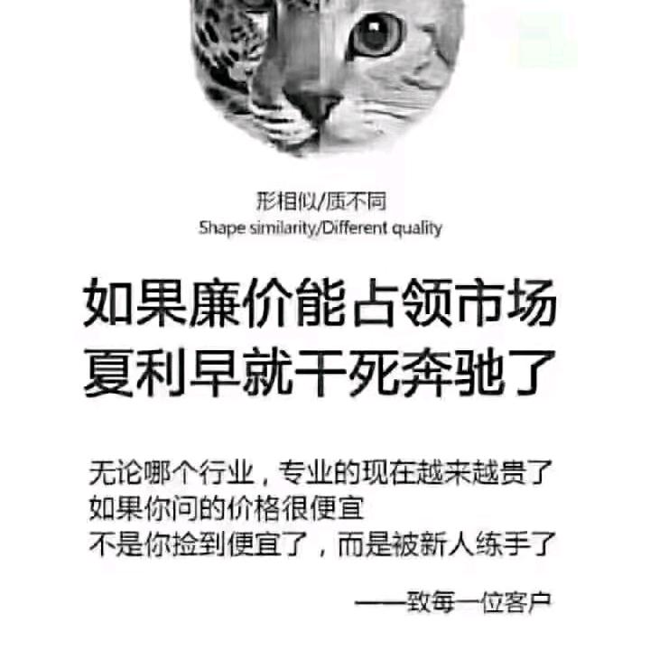 魁拔的鳞妖战士海问香