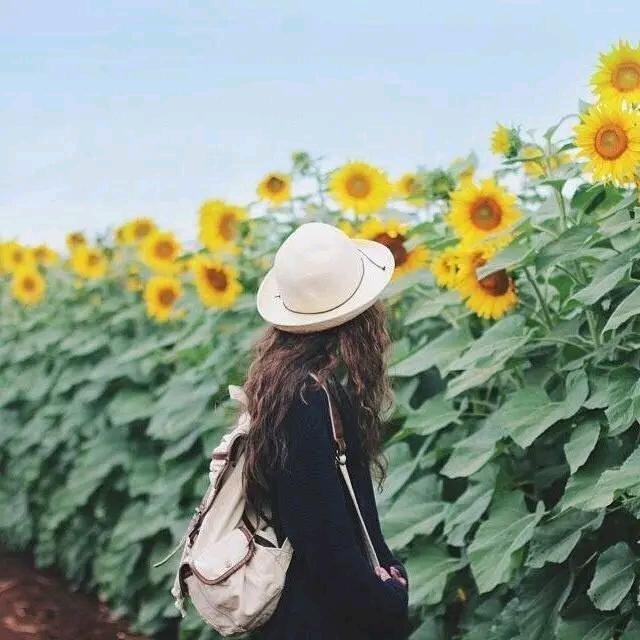 ღ᭄ꦿ꯭柠夏初开ঞৣঁএ᭄.