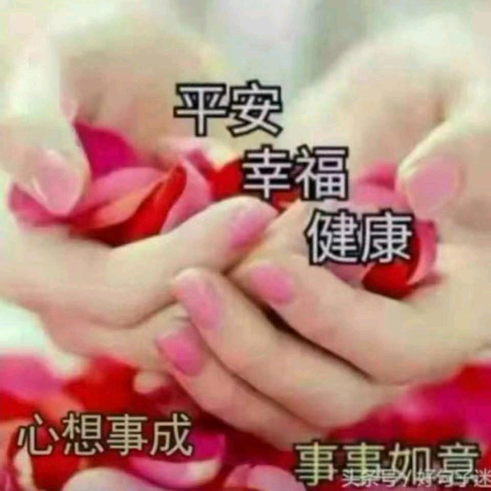 菊中情