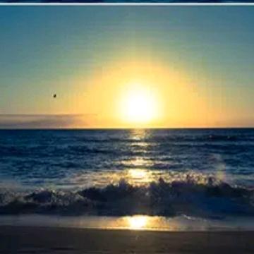 大海