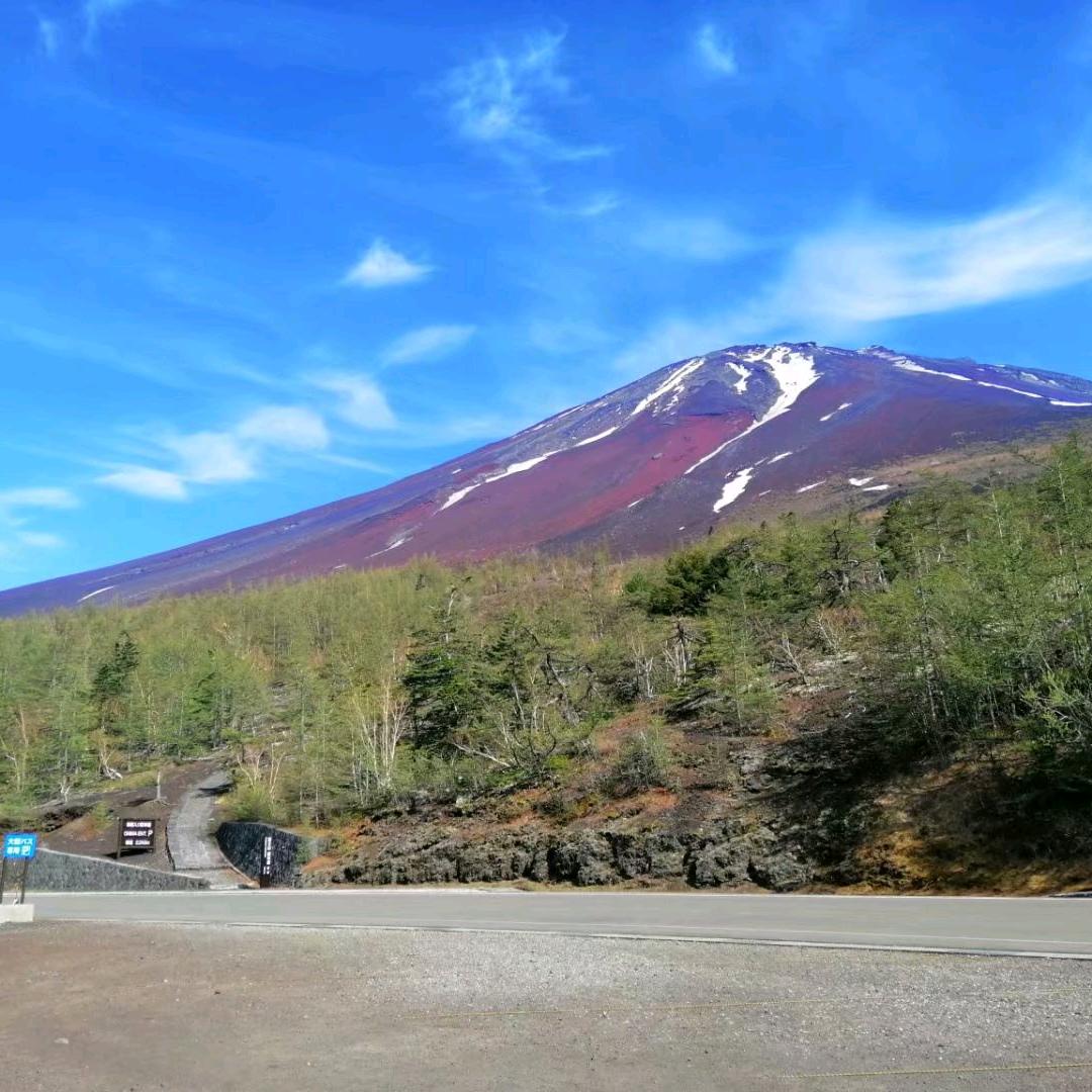 随你意，你随意