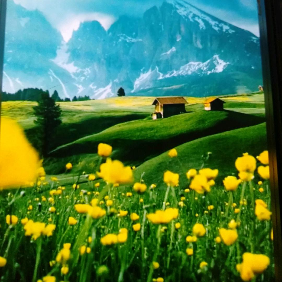 ❤️心想事成刘姨