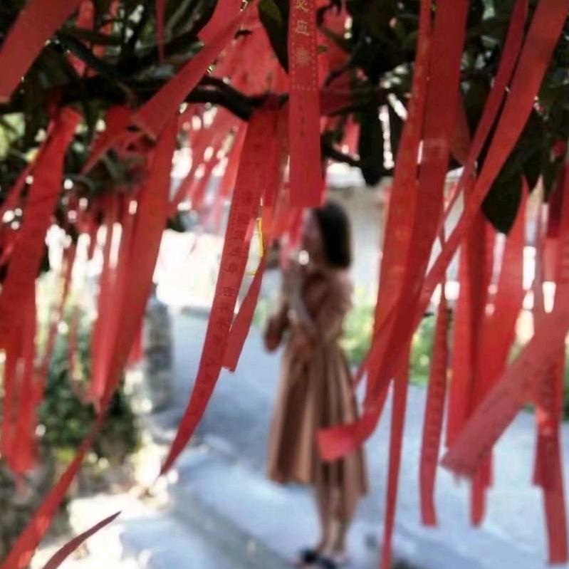 菩提揭