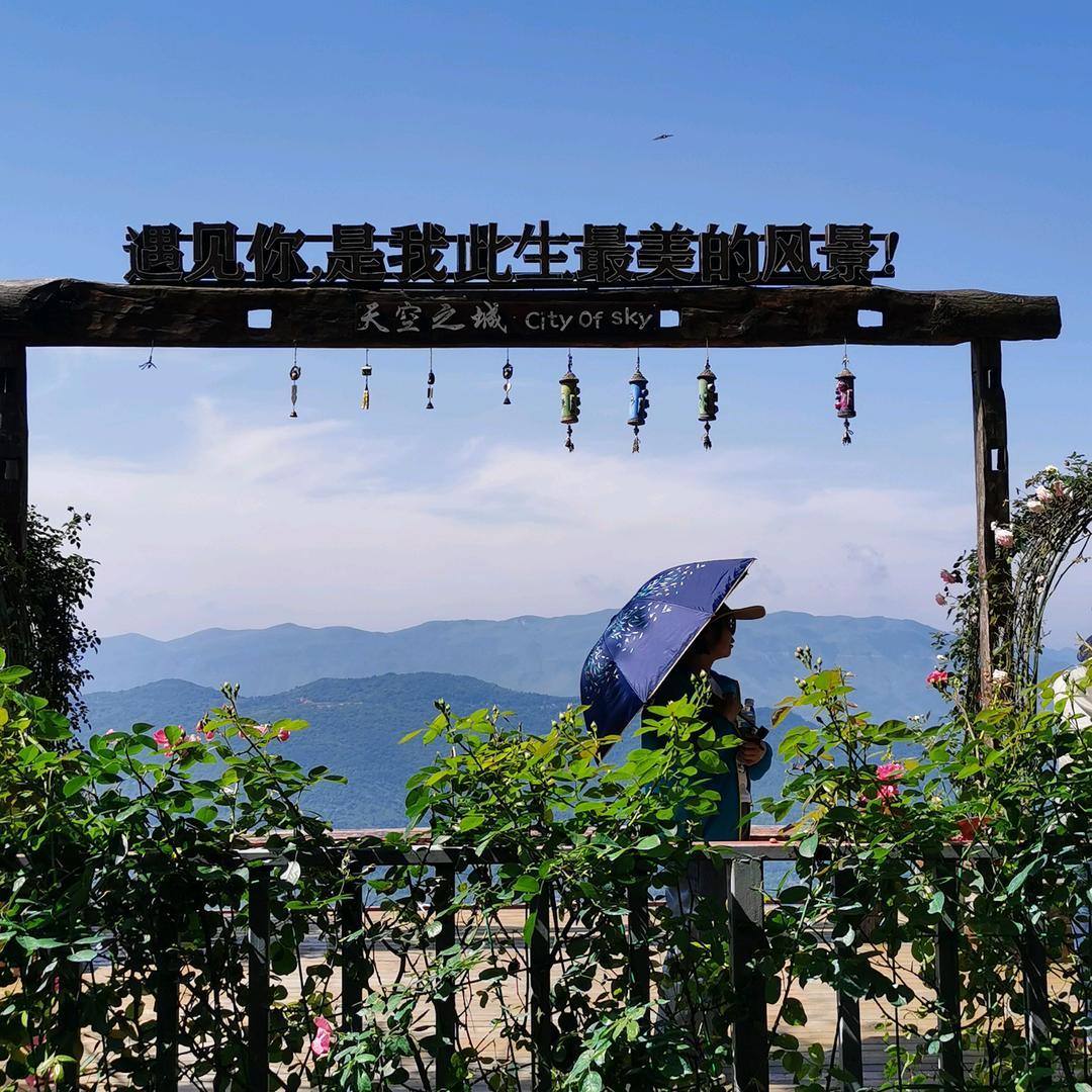 蓝色经典