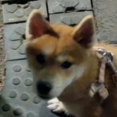 烦