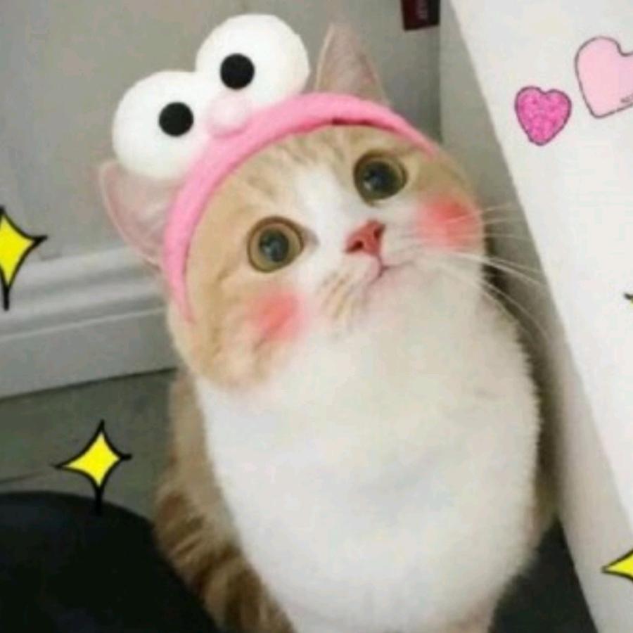 七洲专升本南充校区