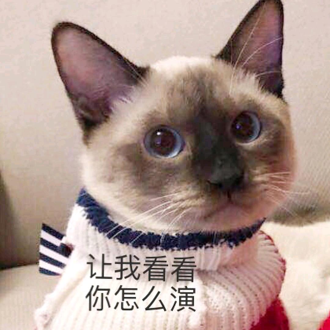 一只丸