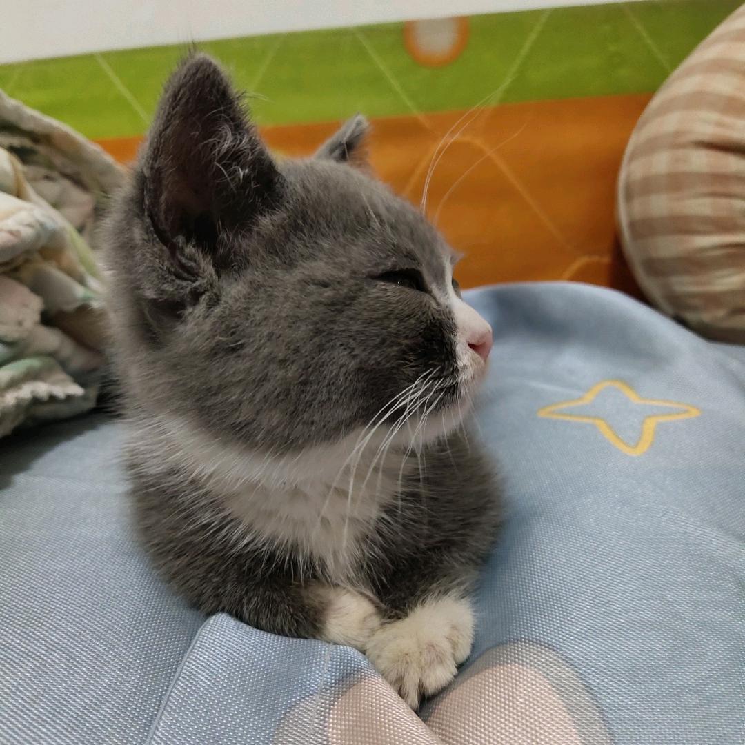 （执着）的我