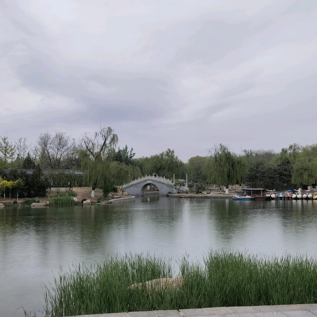 杨杨杨