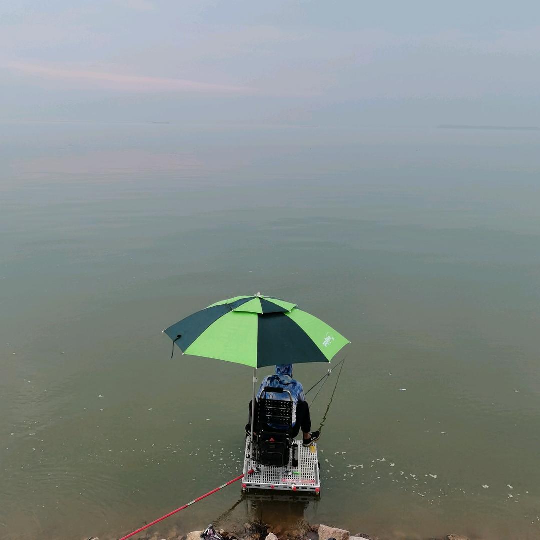 飞机哥钓鱼