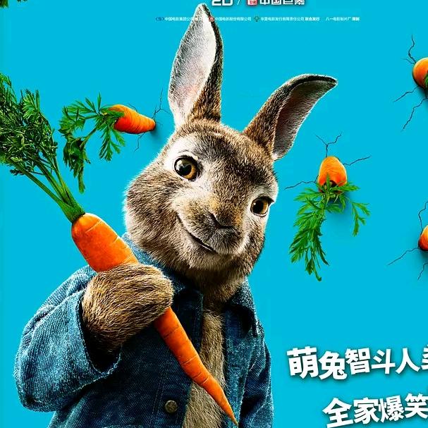 兔子的心