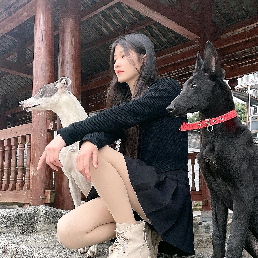 安仔是个吃货