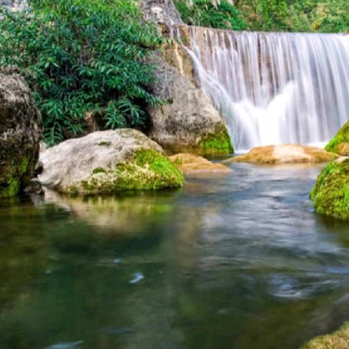 TH高山流水