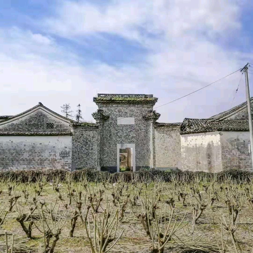飞铁龙