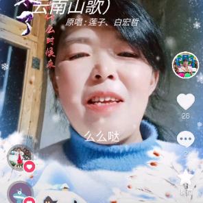 冬天玫瑰